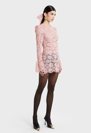 BLUSH BELLA LACE DRESS